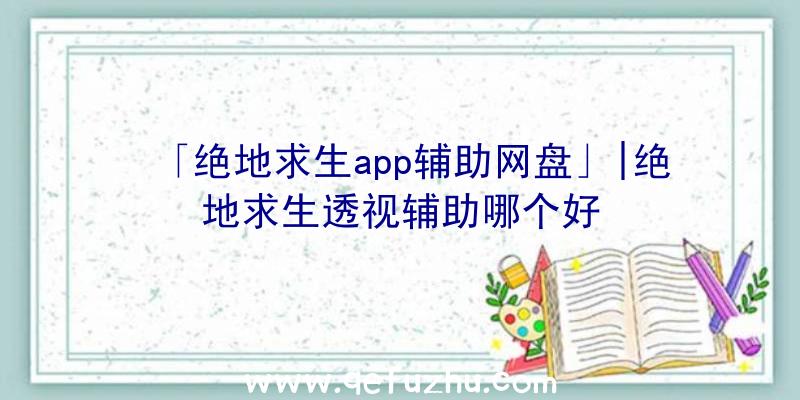 「绝地求生app辅助网盘」|绝地求生透视辅助哪个好